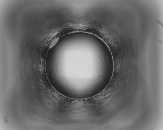 X0000096431301200802071716