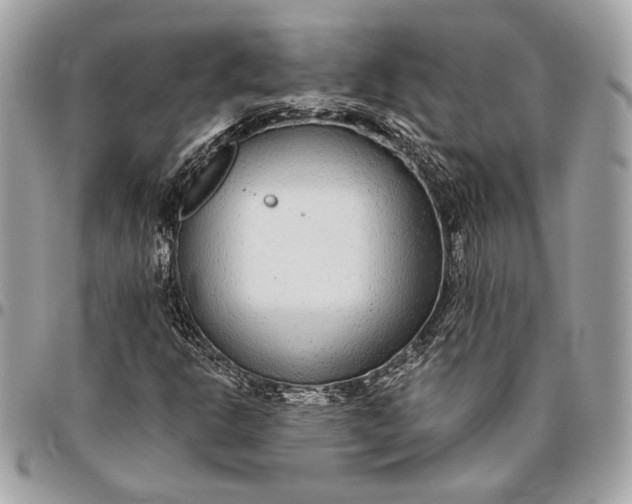X0000096431302200802071716