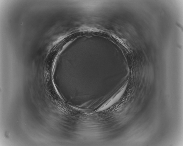 X0000096431303200802071716