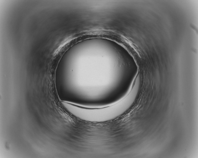 X0000096431304200802071716