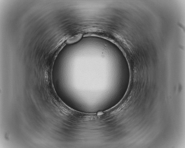 X0000096431305200802071716