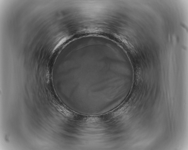 X0000096431306200802071716