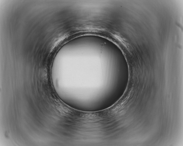 X0000096431307200802071716