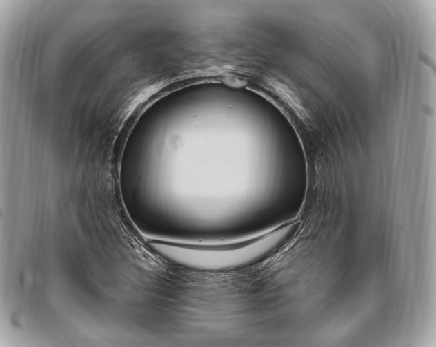 X0000096431308200802071716