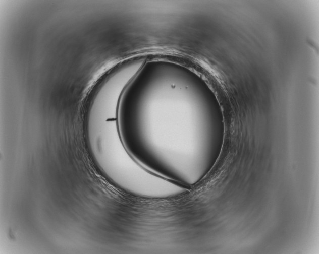 X0000096431310200802071716