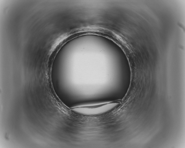 X0000096431312200802071716