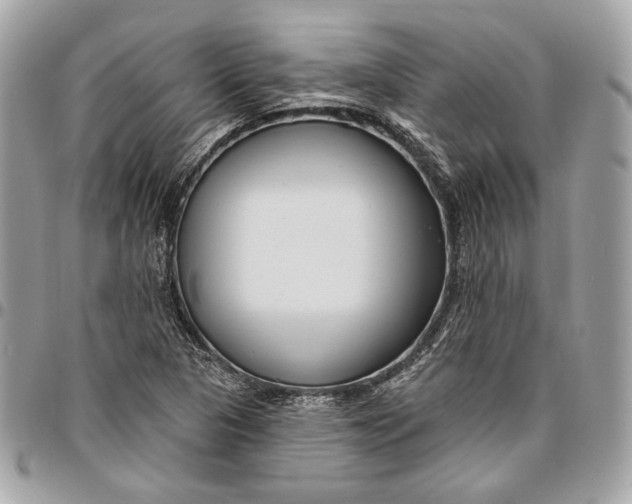 X0000096431313200802071716