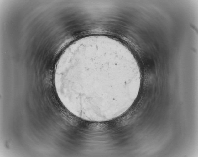 X0000096431314200802071716