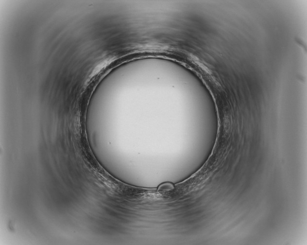 X0000096431315200802071716