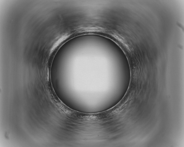 X0000096431317200802071716
