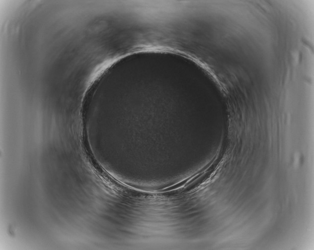 X0000096431319200802071716