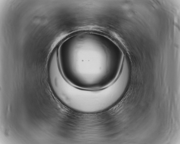 X0000096431320200802071716