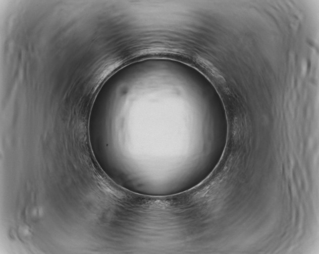 X0000096431321200802071716