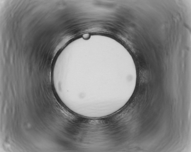 X0000096431322200802071716