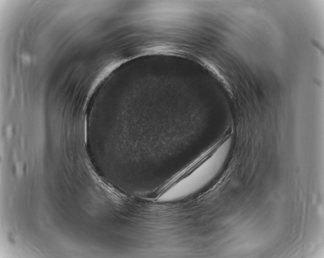 X0000096431323200802071716