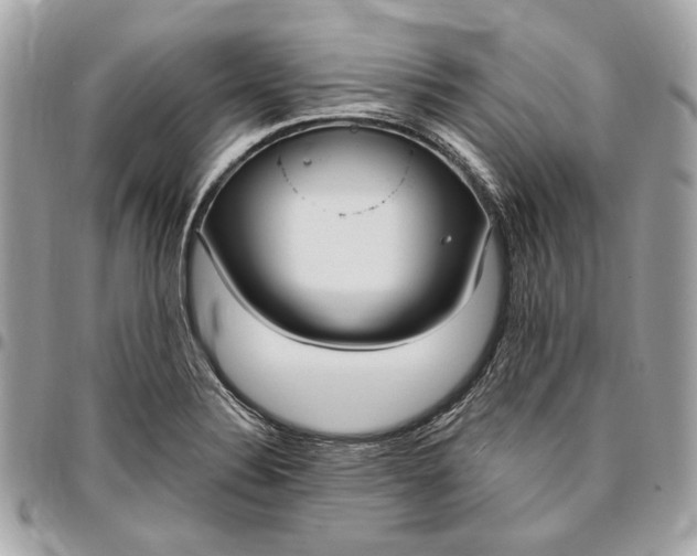X0000096431324200802071716