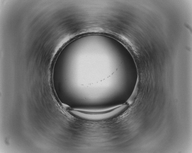 X0000096431326200802071716