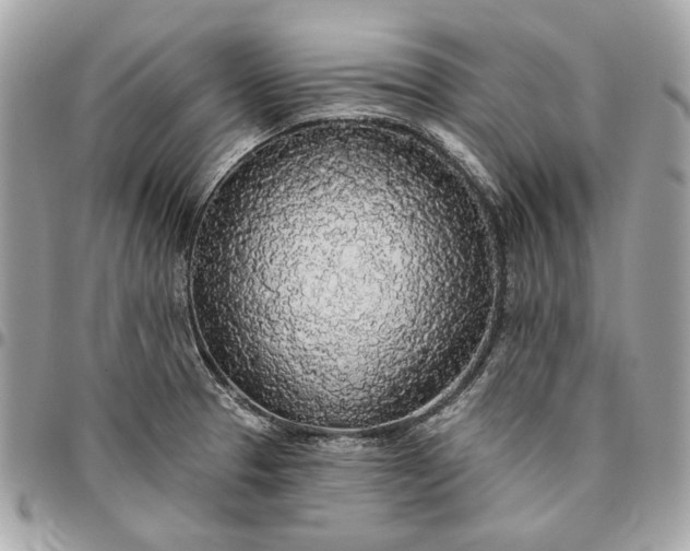X0000096431329200802071717