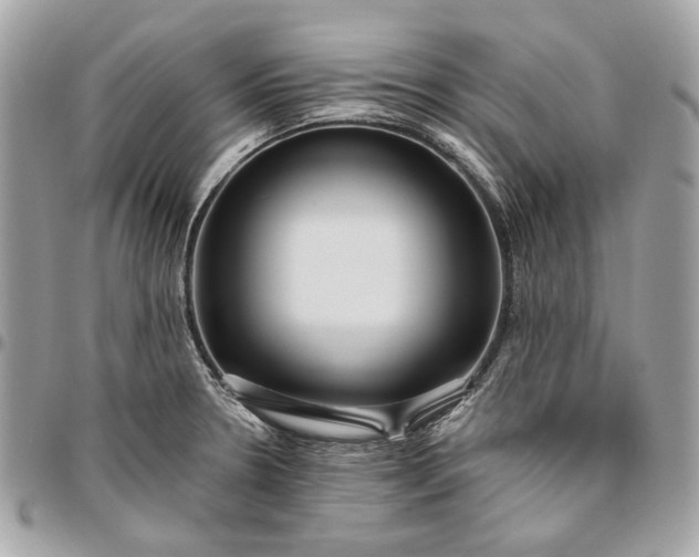 X0000096431330200802071717