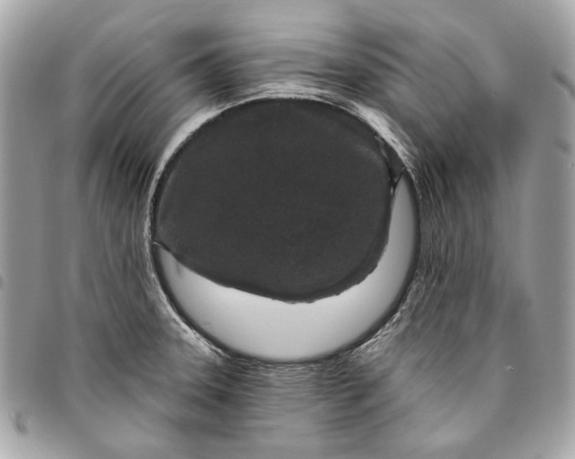 X0000096431331200802071717