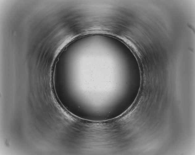 X0000096431333200802071717