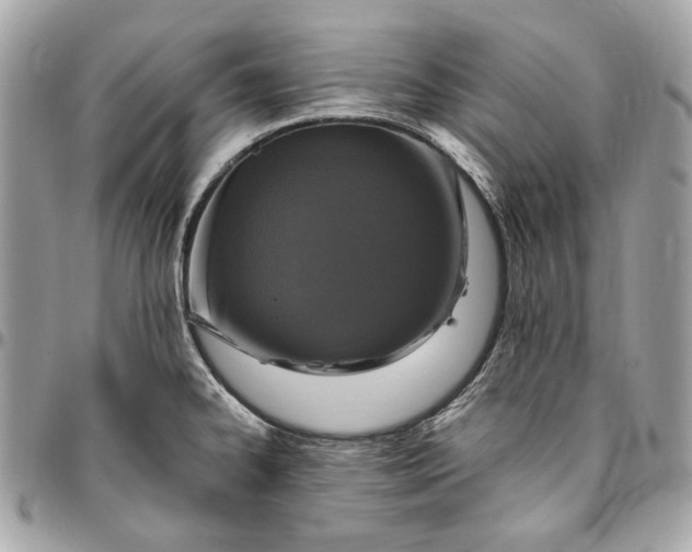 X0000096431334200802071717