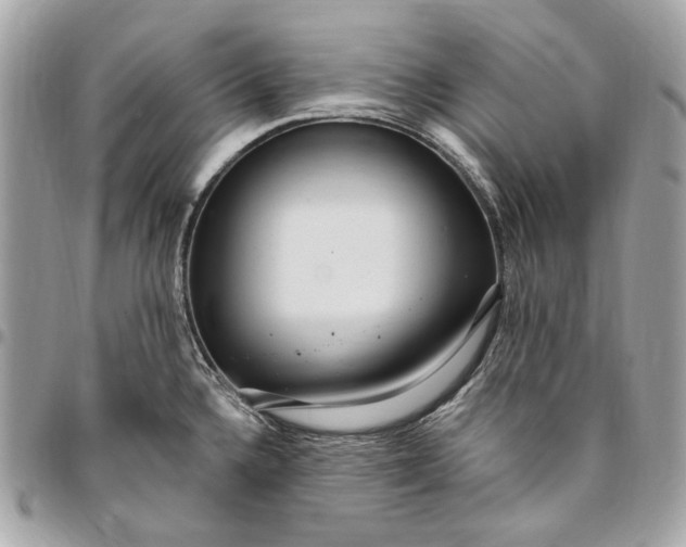 X0000096431336200802071717