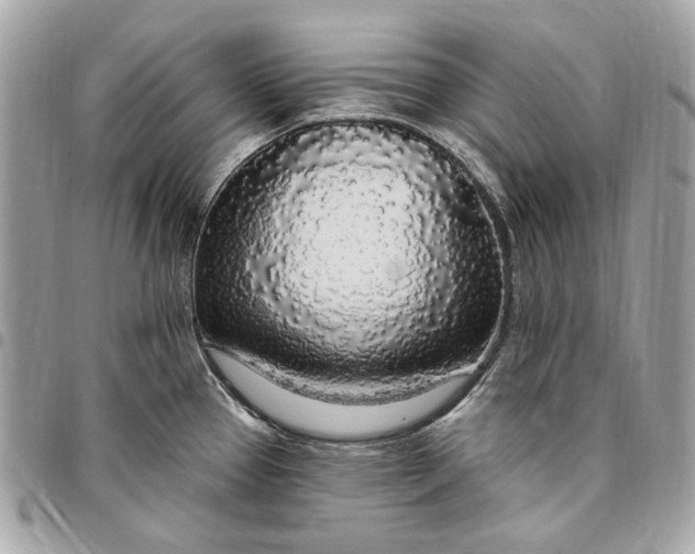 X0000096431337200802071717
