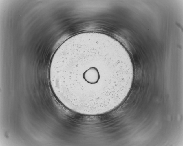 X0000096431338200802071717