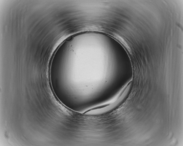 X0000096431339200802071717