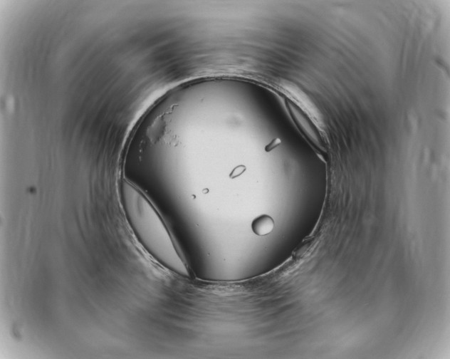 X0000096431340200802071717