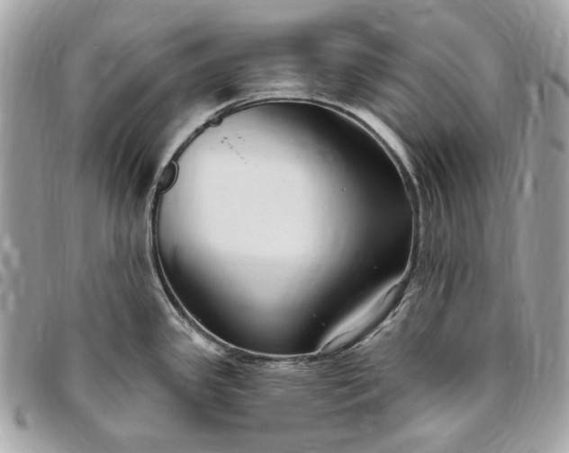X0000096431341200802071717