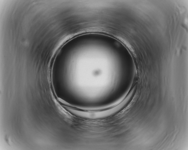 X0000096431342200802071717