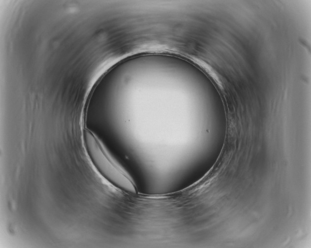 X0000096431343200802071717