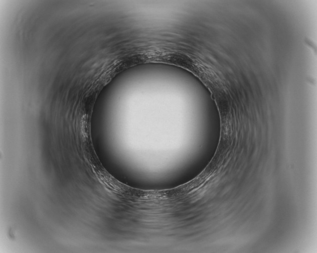 X0000096431346200802071716