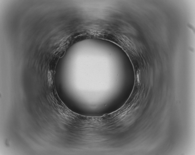 X0000096431347200802071716