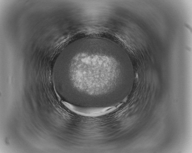 X0000096431348200802071716