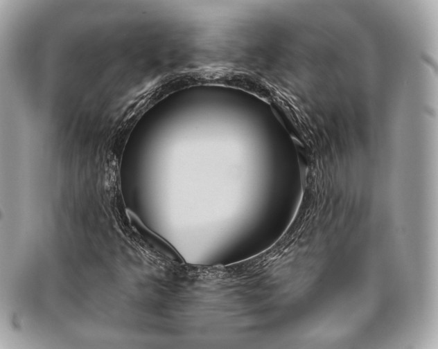 X0000096431349200802071716
