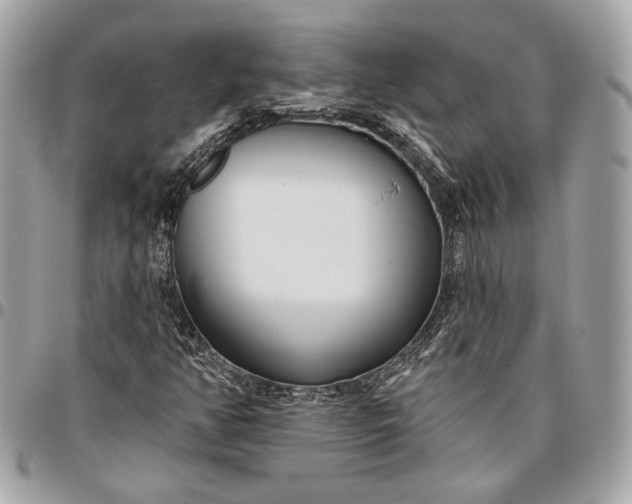 X0000096431350200802071716