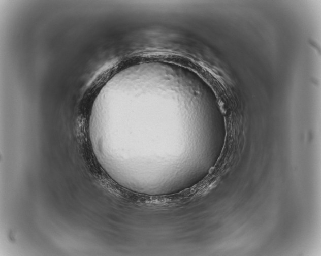 X0000096431351200802071716