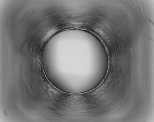 X0000096431354200802071716