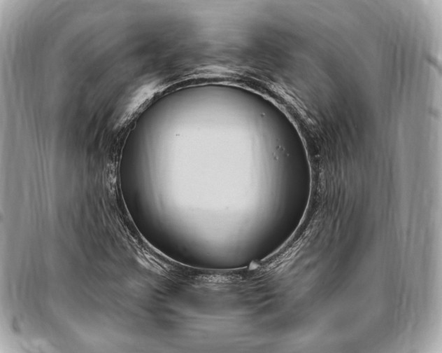 X0000096431355200802071716