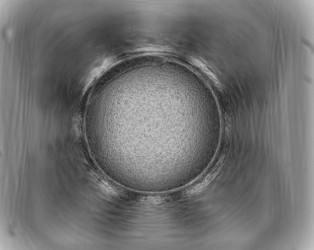 X0000096431357200802071716