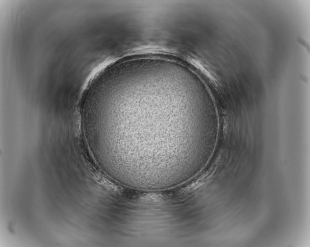 X0000096431358200802071716