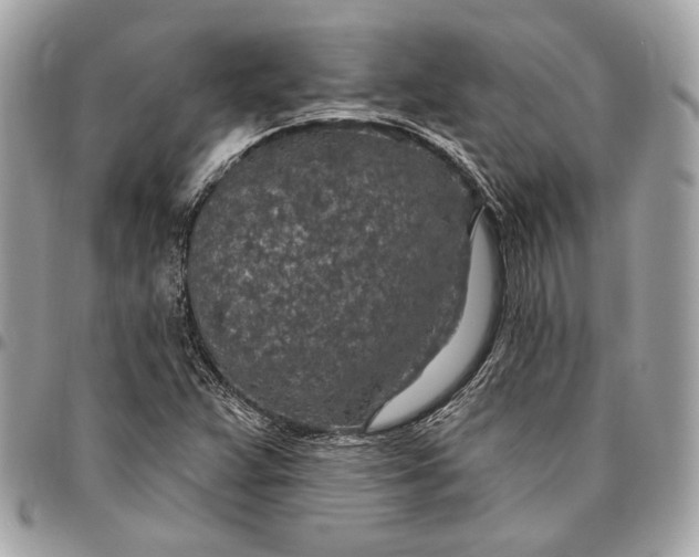 X0000096431359200802071716