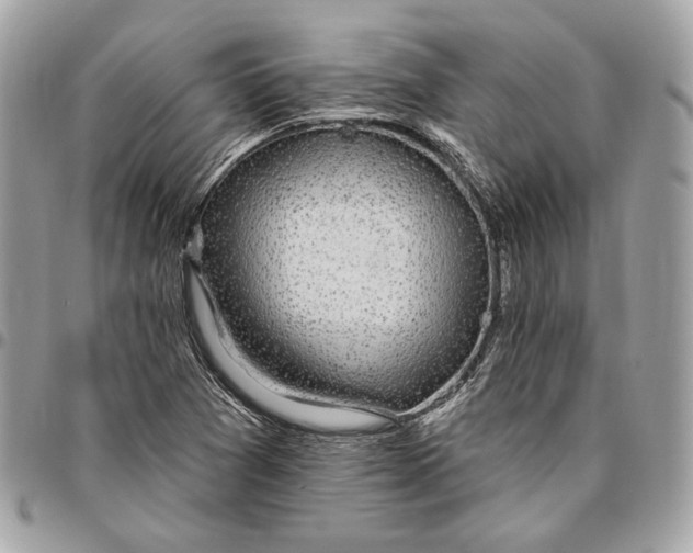 X0000096431361200802071716