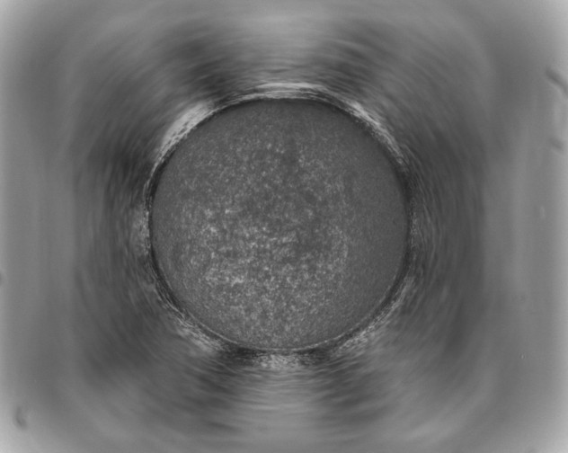 X0000096431362200802071716