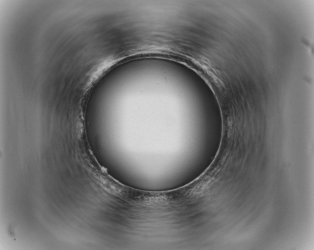 X0000096431363200802071716