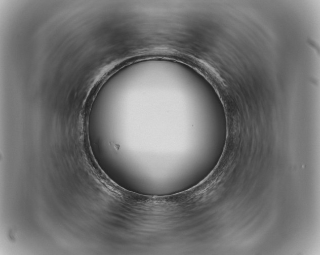 X0000096431364200802071716