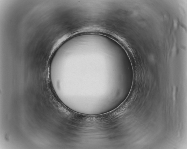 X0000096431366200802071716